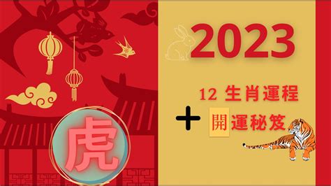 屬虎顏色2023|【屬虎2023生肖運勢】財運步步高升，桃花運銳不可。